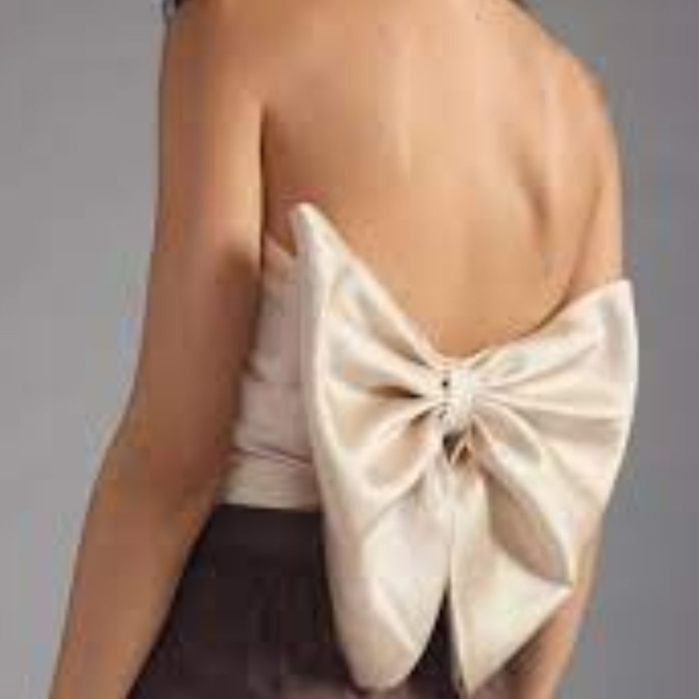 Brand New Women's Hutch Strapless Bow Top